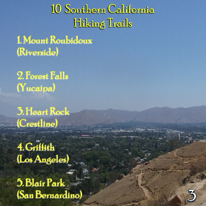 California & Whatnot Magazine
