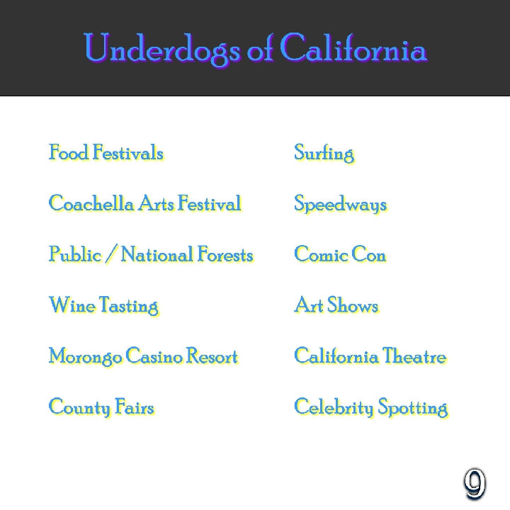 California & Whatnot Magazine